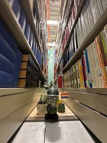 Garden gnome toy and small potted plants sit on the floor of an off-site serials storage range